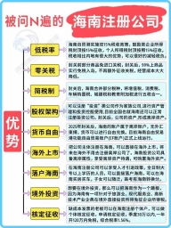 封关前拥有一家海南公司，准火！